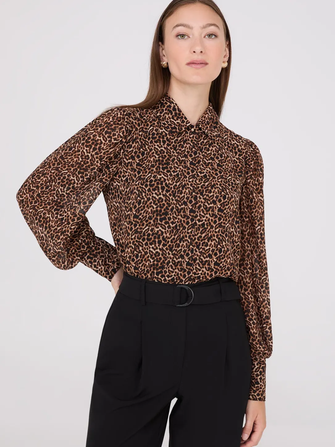 Animal Print Chiffon Volume Sleeve Blouse