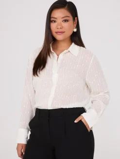 Embroidered Sequin Chiffon Blouse